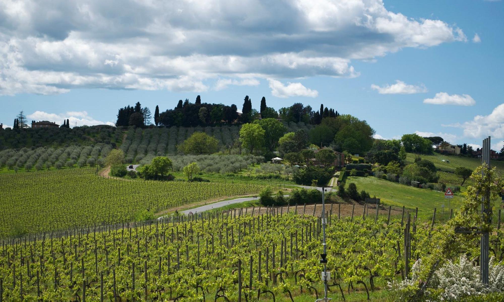 Villa Il Castagno Wine & Resort Сиена Екстериор снимка